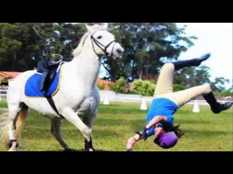 TikTok Horse Fails/Falls Compilation