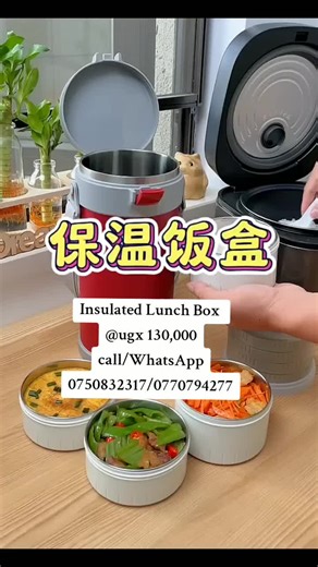 Insulated Lunch Box Keeps Food Warm for 10 Hours