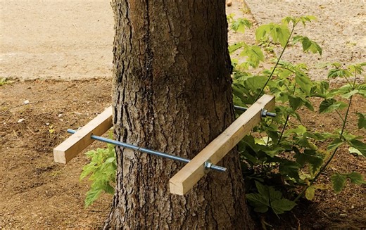 How to Build a Tree Bench Without Harming the Tree 🌳🪑 | 5-Minute Crafts GIRLY