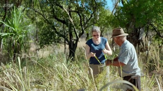 The Secret History of Writing episode 1