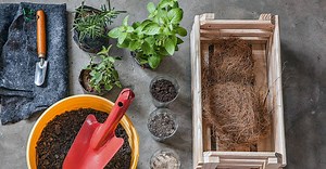 Cursos on-line: dez opções para estudar sem sair de casa