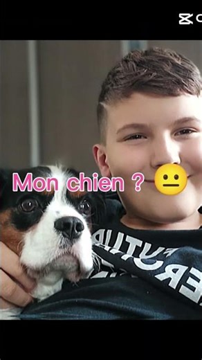 #art #humour #questcequejedevraischoisir mon chien abonne toi #drummer #percussion #dessin #chien 🐶🐶