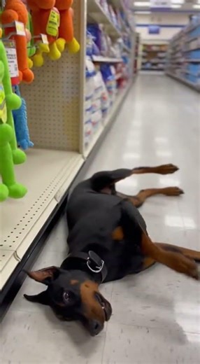 Dramatic death scene (Colorized) 🎨