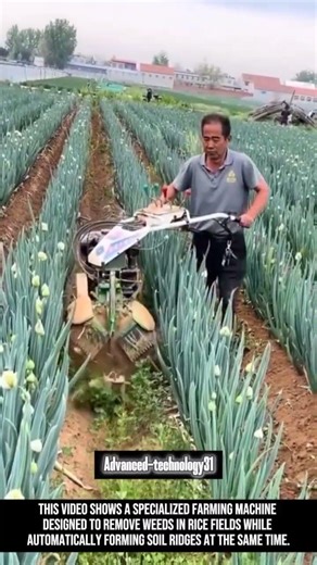 Modern Farming Machine for Weeding and Soil Ridging !! #innovation #tool #tools