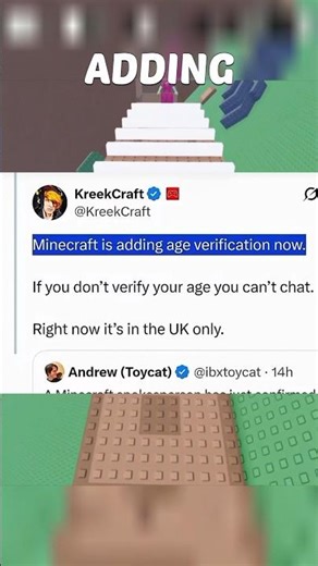 MINECRAFT Age Verification 😭🙏#roblox #robloxrant