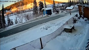 Insurance Scam Goes Wrong