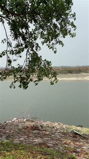 Life of a Software Engineer | Work From Home