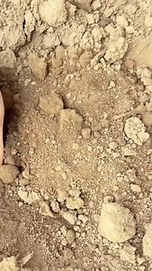 3.8K views · 219 reactions | Agriculture #agriculture #farming #farmers #sustainablefarming #organicfarming #agrotech #harvest #growyourownfood #farmtotable #foodproduction #agribusiness #permaculture #agriculturelife #gardening #crops #plantation #rural #agricultural #landscaping #farmfresh #cultivation #agriculturalengineering #soilhealth #gardeningtips #ecoagriculture #greenfarming #hydroponics #urbanfarming #agriculturalscience #farmingcommunity | Digital Farmer | Facebook