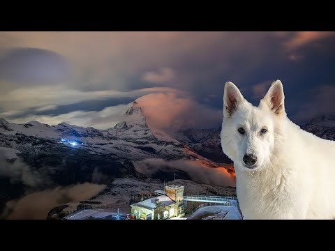 A dreamy trip to Zermatt Switzerland Gornergrat - Farewell Tour Rasta