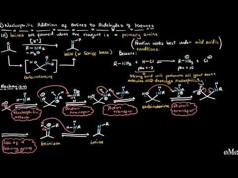 Nucleophilic Addition of Nitrogen Nucleophiles (Imine & Enamine Formation & Hydrolysis)