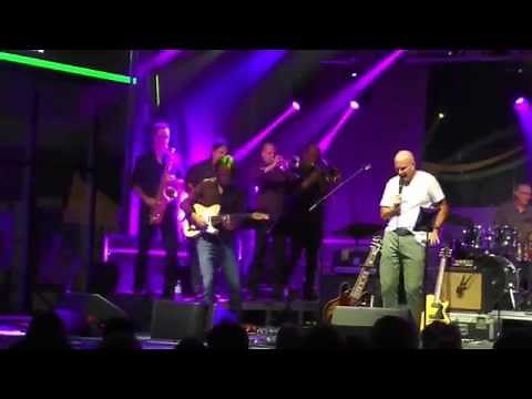 Babylon Sister STEELY DAN Hey Nineteen LIVE at MONKLAND 2015