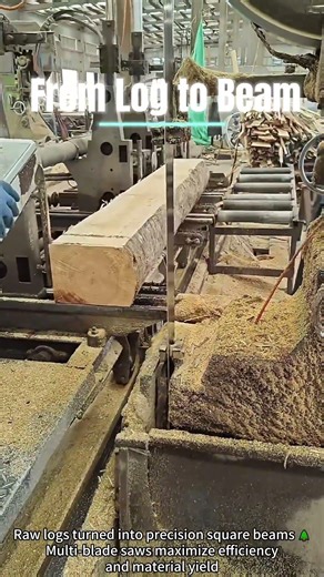 Watching Logs Become Perfect Square Beams🌳🪓#shorts #machine#woodworking