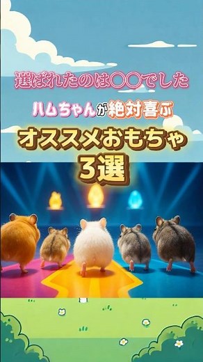 【ハムスター 飼育】初心者におすすめ！買ってよかったおもちゃ3選