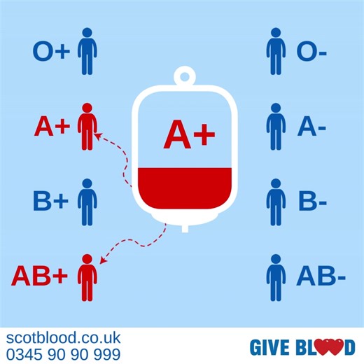 Did you know that more than a quarter of Scotland's population have type A blood. This makes it the second most common blood group in Scotland. A blood can be given to patients with A and AB blood. Stocks of A are slightly lower than we would like, if your blood group is A we'd love to welcome you. ❤ | Scottish National Blood Transfusion Service - SNBTS