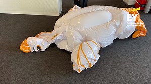 2.6K views · 12 reactions | Second week of our summer challenge, it's time to reveal the correct answer: The photo was taken in Palma de Mallorca. Congrats to Sam C. who is our lucky winner! Sam, check your messages or contact us for more details. Next photo challenge comes on Monday, don't miss it! | EY Careers | Facebook