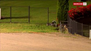 Have you ever seen a race delayed from a loose pooch? 🐶 | Racing.com