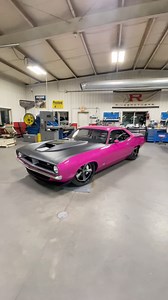 Peekaboo. | Ringbrothers