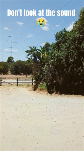 #smartphone #memes #funny #comedy #humor #tutorials #loop