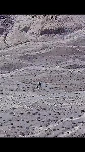 7.9K views · 91 reactions | WTF  ?  California, United States of America location : 35°46'26"N 117°04'15"W #googleearth #map #worldgeography #Reels #ภูมิศาสตร์ Mystery ,Famous places,Tourist Attractions Map Content ,Search mode on. | Earth 3D | Facebook