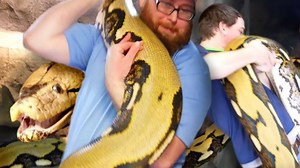 110K views · 2.7K reactions | Eric and Bruce handle our giant 20-foot Reticulated python snake "Lucy" and we get a shipment of NEW Bella plush animals!!! #brianbarczyk #20footsnake #reticulatedpython | Brian Barczyk | Facebook