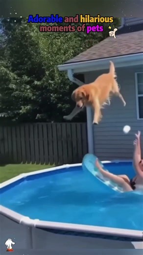 #funny #funnyshorts #viral #viralshorts#comedy #fails#prank#cute#reaction#wholesome #respect#shorts