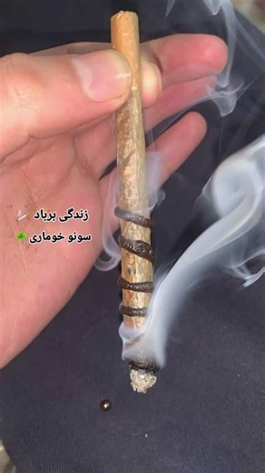 Sufyan Bhai on Instagram‎: "#fyp #چرسی #fypシ❤️💞❤️"‎