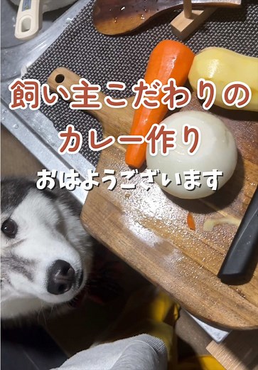 飼い主こだわりのカレー レシピ｜家庭で作るスパイスカレー