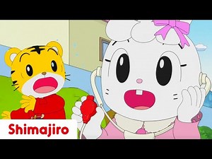 Dr. Mimi-Lynne to the Rescue 🩺🏥 Play | 24 Minute Compilation | Kids video for Kids | Shimajiro