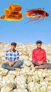 Eating _ lolipop, icecream, chicken, honey, apple, mango, yellow lizard, cockroach vfx video #shorts | UK Vfx