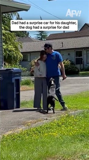 Dad had a surprise car for his daughter, dog had a surprise for dad