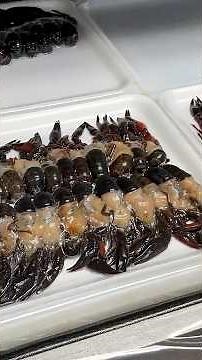 Soft Shell Crawfish Facility Tour!