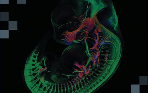 【科研进阶】HTRF原理及其应用