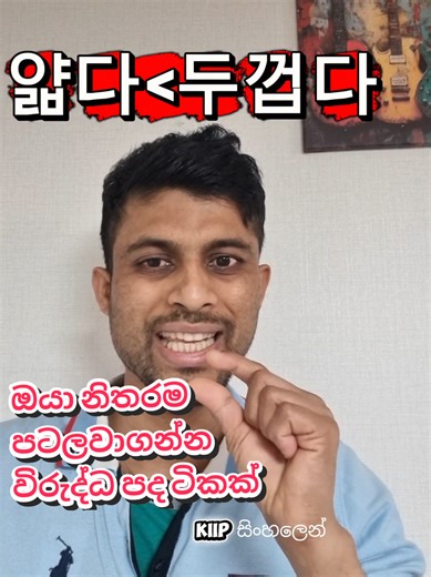 Korean and Sinhala Language Insights on Antonyms