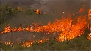 Firefighters battle Australian blazes