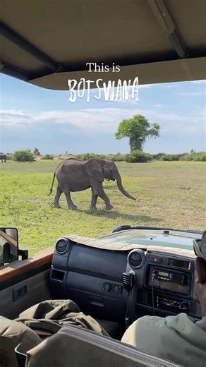 1.4K views · 14 reactions | Botswana is a land of breathtaking...