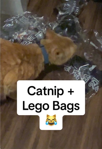 gear.cube (@gear.cube)’s videos with original sound - gear.cube