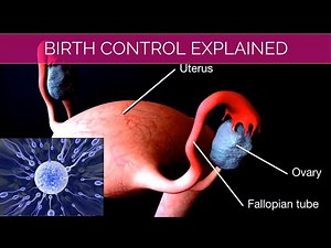 How Hormonal Contraceptives Work? | Birth Control Explained |