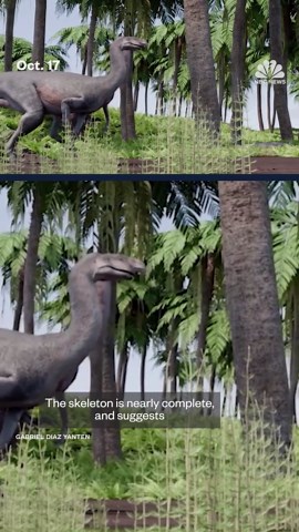 230-million-year-old dinosaur fossil found in Argentina