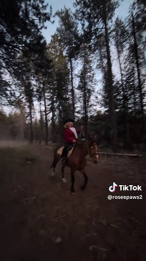 Exploring Paul Revere and Horse Riding History
