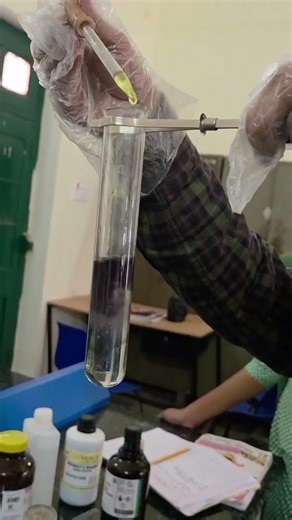 Test of phenol (Ferric Chloride Test)