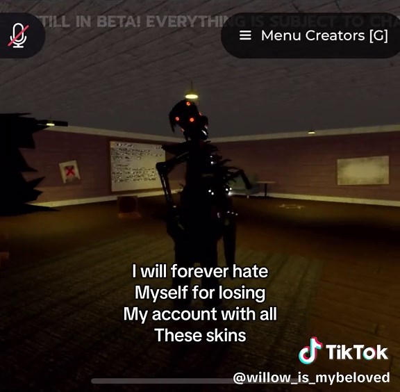 Willows #1 fan girl on TikTok
