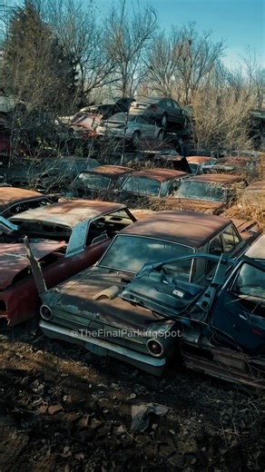 Millions of Dollars turning into rust! 😱💸 Walking through a graveyard of American Muscle cars. Which one would you save? #BarnFind #AbandonedCars #Junkyard #ClassicCars #CarGraveyard #LostHistory #Urbex #MuscleCars #Save #TheClassics #RustInPeace | The Final Parking Spot
