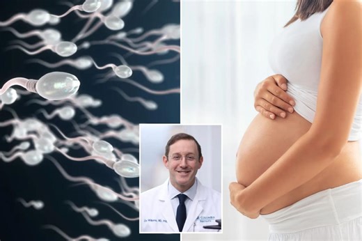 AI helps couple get pregnant after 18 years of trying — by finding infertile man’s ‘hidden sperm’