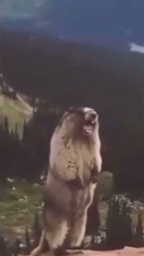 Make your Roblox character die when falling #shorts#roblox#robloxstudio#gamedev#robloxdev