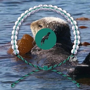 The 4ocean Sea Otter Bracelet is raising awareness about the threats sea otters face. Your purchase will help pull one pound of trash from the ocean and coastlines while raising awareness about the importance of sea otter conservation. We're also donating to the Monterey Bay Aquarium to help fund education and research. | 4ocean