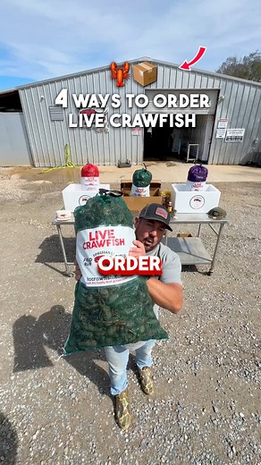🦞 1. Ship to Your DoorOur most popular and convenient option! We pack live crawfish with frozen gel packs and ship them overnight directly to your doorstep, guaranteeing they arrive alive or your money back. Perfect for those who want fresh crawfish delivered hassle-free. 🚚 2. FedEx PickupSimilar to home delivery, but with added flexibility. Choose to have FedEx hold your crawfish at their station for you to pick up at your convenience, typically as early as 9:30 AM. Ideal for early boils wher