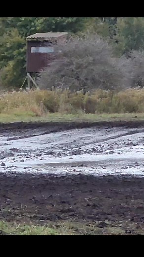 #MuddyMonday 🤘 #wilbursmudbog #mudding #mudbogging #mudtruck #michiganmudbogger #onetonfun | Wilbur's Mud Bog