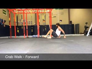 Ground Based Movement - Basic Quadrupedal Patterns (locomotive)