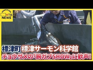 標津サーモン科学館 チョウザメがガブっと腕までかみつき餌を食べる「腕ガブＳＨＯＷ」に歓声！