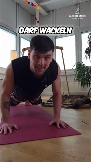 Täglicher Bewegungsimpuls: Push-ups für Anfänger | LazyDogDaily #18